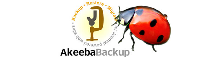 Akeeba Sicherheitslücke 3.2.7