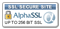 AlphaSSL 256 bit Alpha SSL Seal