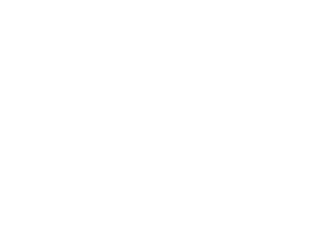 Root Server