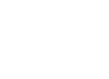 Internetauftritt