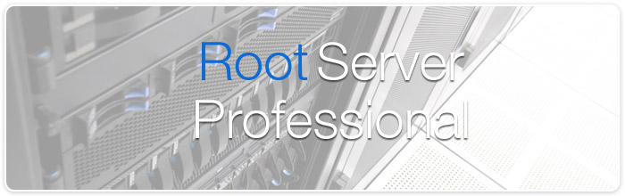 Root Server Professional