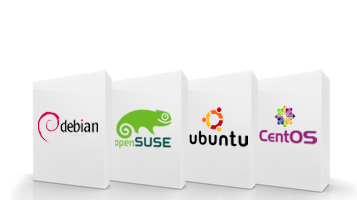 Server Software
