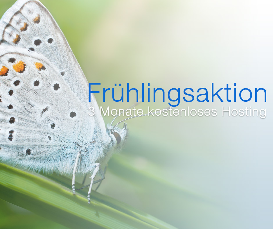 fruehlingsaktion-2013