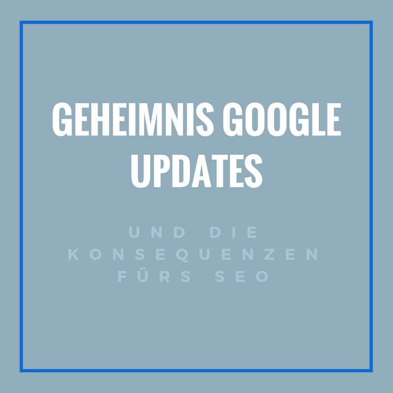 Google Updates  und ihre SEO Konsequenzen