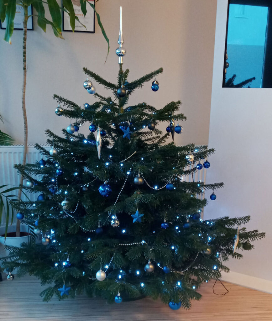 DM Solutions Weihnachtsbaum 2022