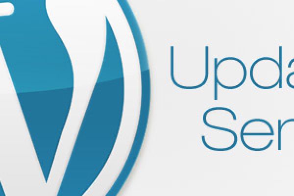 WordPress Update Service