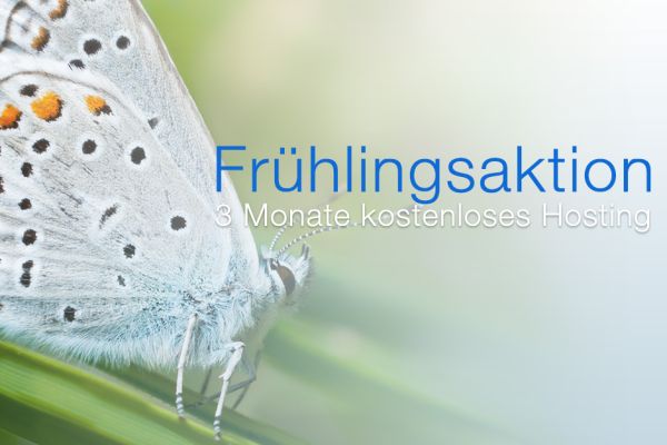 fruehlingsaktion-2013