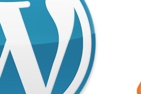 WordPress Sicherheitslücke