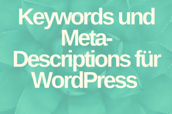 Lernen Sie, wie Sie Keywords und Meta Descriptions in Ihren WordPress Blog einbauen