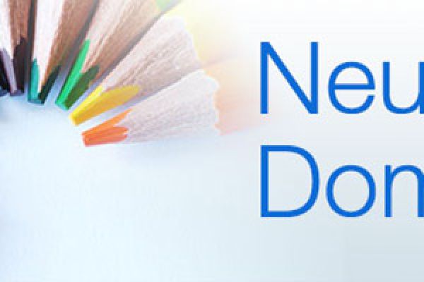 Neue Domainendungen bei DM Solutions