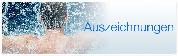 Auszeichnungen