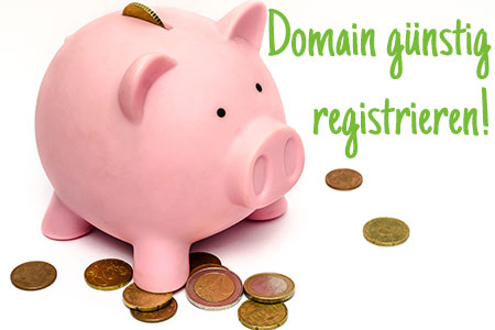Domain Check