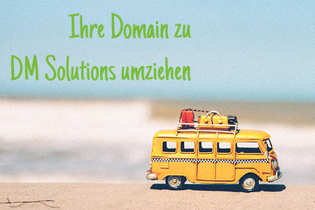 Domain Check
