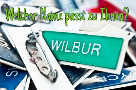 Domainabfrage