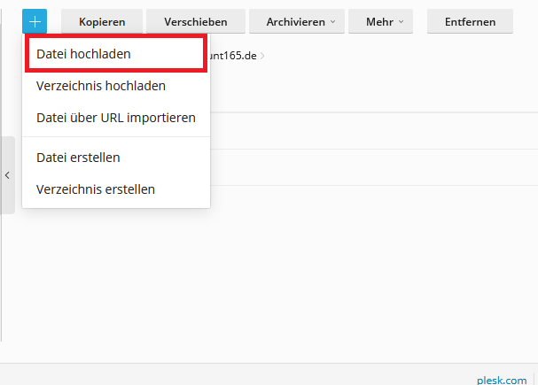 Plesk Datei hochladen