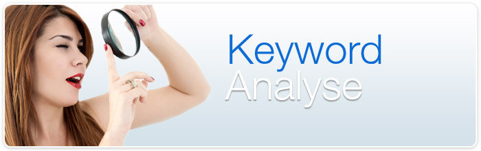 SEO Keywordanalyse SEO Keywordanalyse