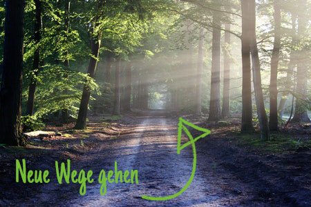 Webhosting wechseln