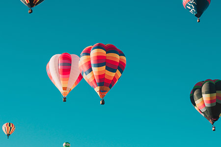 WordPress Themes
