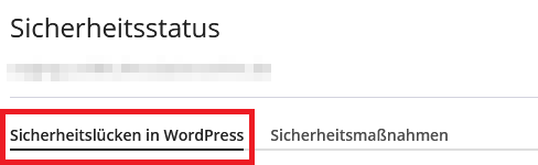 wp-toolkit Sicherheitslücken