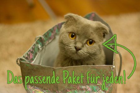 Einen Blog erstellen