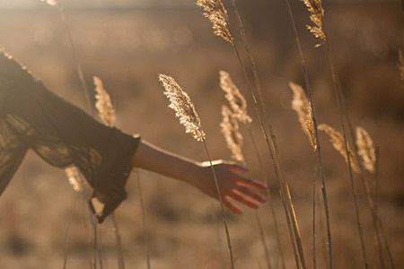 Kostenloses Webhosting