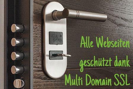 Alle Webseiten geschützt dank Multi Domain SSL