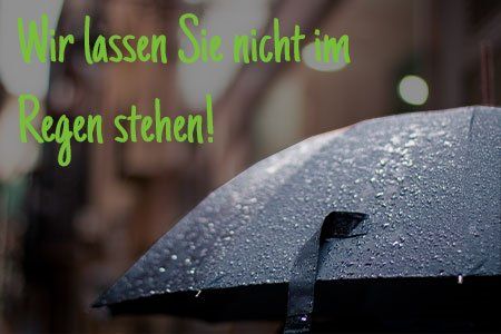 Prestashop Server Umzug mit DM Solutions