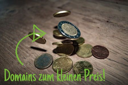 Die eigene Domain stellt immer der Beginn Ihres Projektes im Netz dar. Egal ob Sie eine Webseite erstellen möchten oder ob Sie nur Ihren E-Mail Verkehr über einen professionellen Domainnamen laufen lassen möchten. Wer im Internet erreichbar sein möchte, benötigt zuerst eine eigene Domain. Bei DM Solutions können Sie günstig eine eigene URL kaufen, mit der Sie Ihr Projekt weltweit erreichbar machen. Da Domains mit einer klassischen Endung wie .de immer knapper werden, sollten Sie Ihre Wunschdomain zunächst mit unserem Domain Check auf Verfügbarkeit überprüfen. Dort können Sie die URL auch direkt registrieren. Mit dem Domain Check werden Ihnen zudem auch mögliche alternative Endungen für Ihren Domainnamen angezeigt, sollte Ihre Wunschdomain bereits vergeben sein.